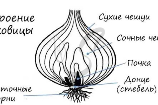 Реальные ссылки кракен