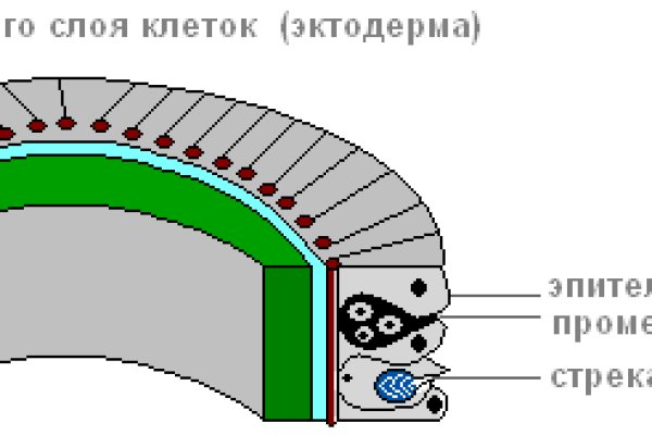 Как зайти на площадку кракен