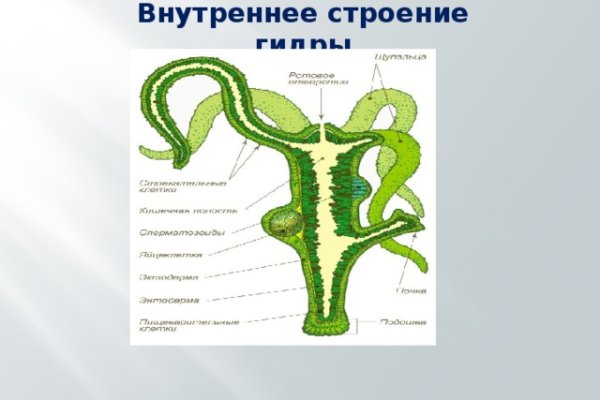 Взломали кракен аунтификатор