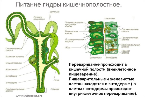 Кракен официальный сайт krakens13 at