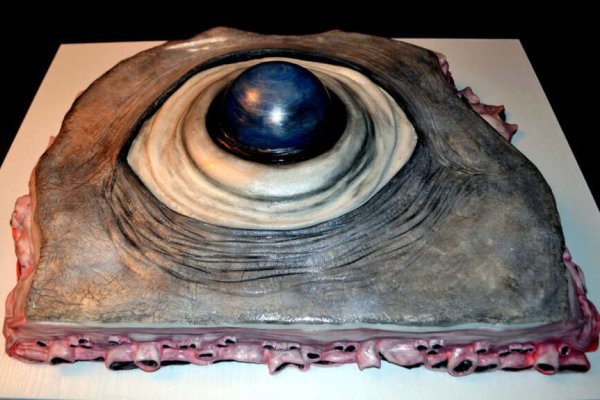 Kraken ссылка onion 2kmp