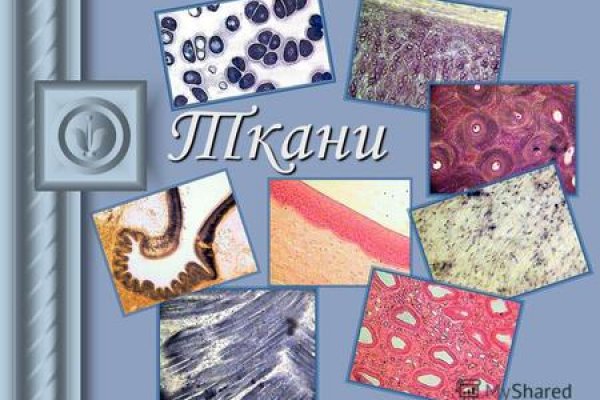 Kraken сайт tor
